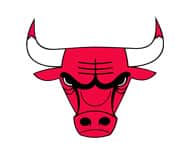 Chicago Bulls